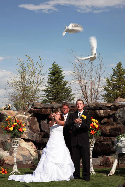dove-wedding